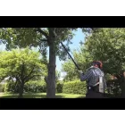 Stihl-Rts-Hati-Hevederrendszer-00007904400