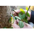 NEO-TOOLS-15-971-Kerti-kotegelo-gyorskotozo-76x380