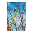 Verto-15G260-teleszkopos-magassagi-kezi-agvago