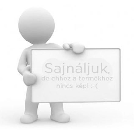 Metallkraft-femipari-szalagcsiszologep-MBSM-75-240