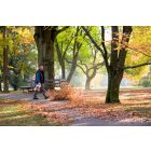 Stihl-Bg-86-Benzines-Lombfuvo-42410111753