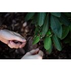 NEO-TOOLS-49-942-Kotel-fonatolt-polipropilen-4mm-400m