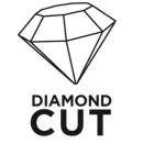 Graphite-56H053-Gyemant-Vagolap-Keramiahoz-68Mm-Galvanizalt-Gyemant-Porral