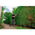 Metabo-Ahs-18-55-V-600463800-Akkus-Sovenyvago