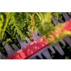 Metabo-Hs-18-Ltx-55-601718850-Akkus-Sovenyvago