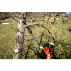 Metabo-Ma-Ms-25-Magassagi-Agvago-Adapter-601727850