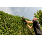 Metabo-Hs-8875-608875000-Sovenyvago