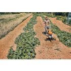 Stihl MH 600.1 Benzinmotoros kapálógép (62500113915)