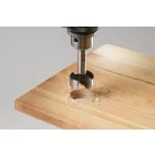 KWB-706012-Profi-Forstner-Furo-12-Mm