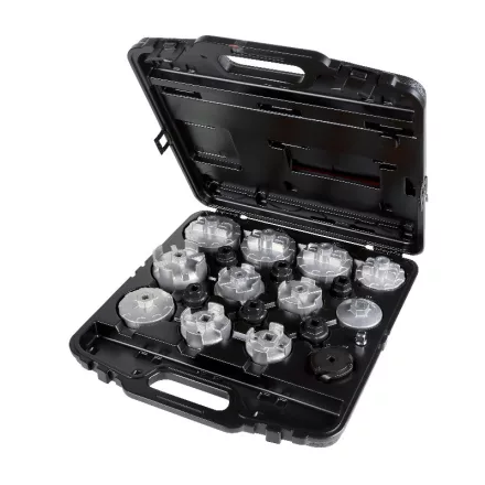 beta-1493-c19-18-darabos-olajszuroleszedo-dugokulcskeszlet-kulonosen-ajanlott-azsiai-autokhoz-014930019