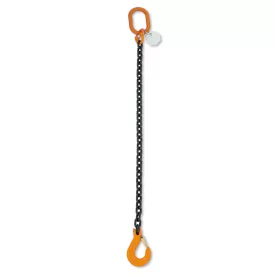 beta-8091-d6-1-rogzito-emeloheveder-1-karos-lanc-taskaban-080910001