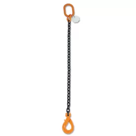 beta-robur-8091sl-d6-1-rogzito-lancheveder-080910201