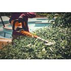 Stihl-HSA-140-R-Akkumulatoros-sovenynyiro-akku-es-tolto-nelkul-HA020113506