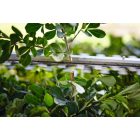 Stihl HSA 40.0 SET Akkumulátoros sövényvágó 50 cm (2x akkuval és 1xAL1 töltővel) HA080113527