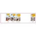 Holzmann-Kam35Ep-400V-automata-elfoliazo-gep