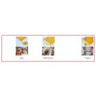 Holzmann-Kam35P-400V-autamata-elfoliazo-gep