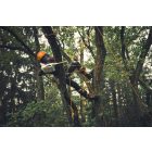 Stihl-MSA-190-T-Akkumulatoros-lancfuresz-akku-es-tolto-nelkul-MA052000011