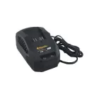 Riwall-Rac-220-20V-Tolto-25A-Racc00080