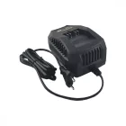 Riwall-Rac-220-20V-Tolto-25A-Racc00080