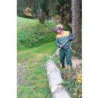 Holzmann-Weha1-Ronkmozgato